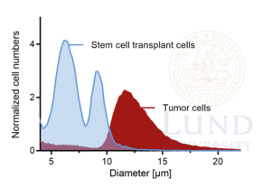 Tumor cells and stem cell transplant cells in a diagramme of normalised cell numbers over diameter in micro meters.