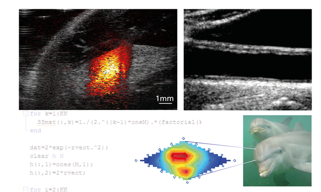 Ultrasound group cover image
