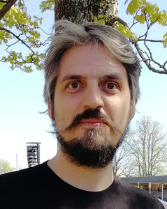 Nebojsa Malesevic